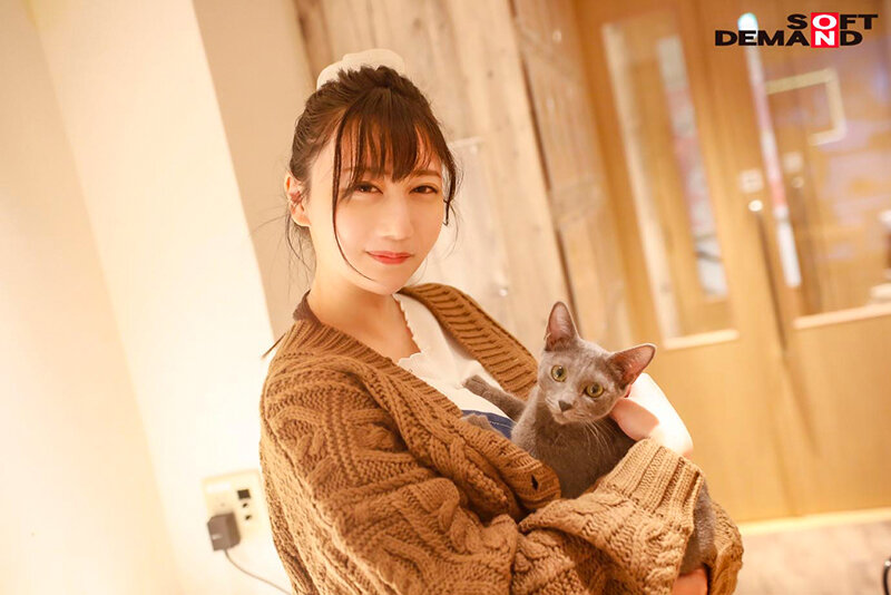 サンプル画像 7