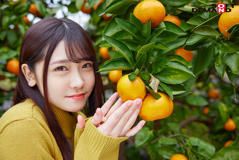 サンプル画像 5
