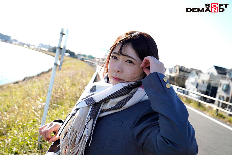 サンプル画像 5