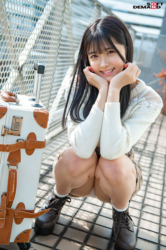 サンプル画像 3