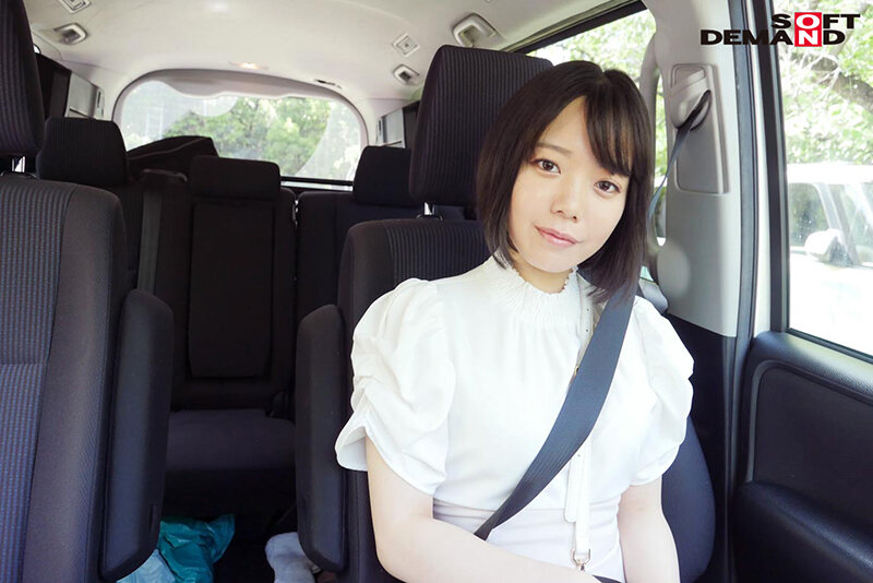 サンプル画像 11