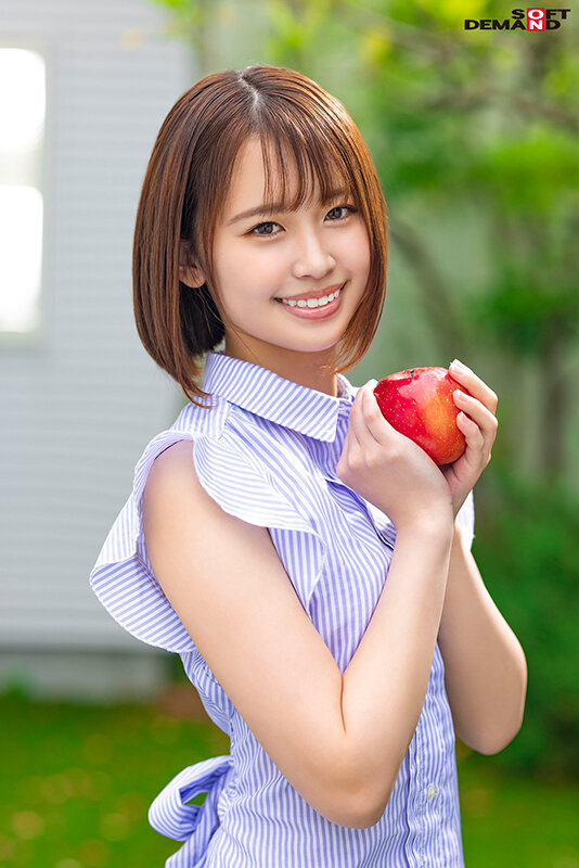 サンプル画像 3