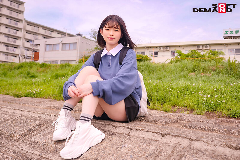 サンプル画像 8