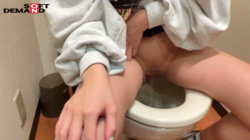 サンプル画像 11