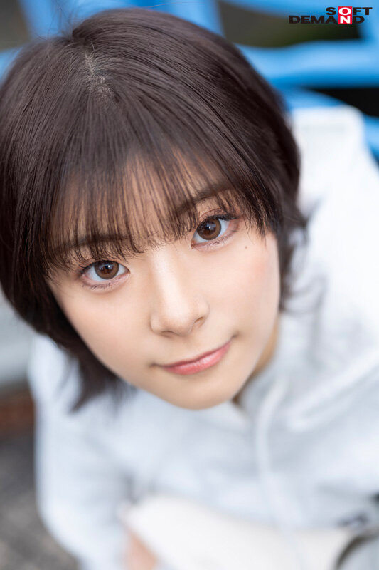 サンプル画像 15