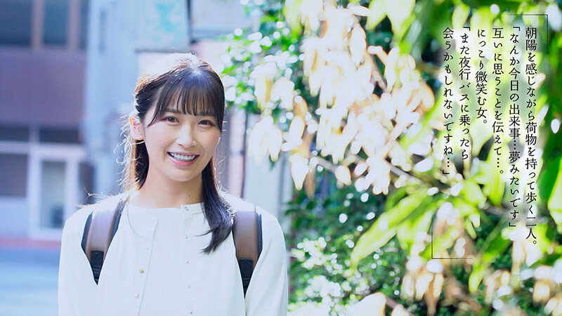 サンプル画像 12