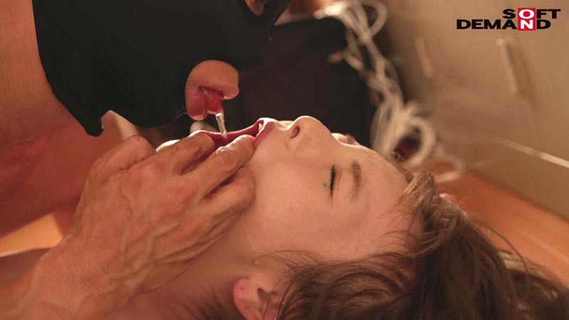 サンプル画像 6