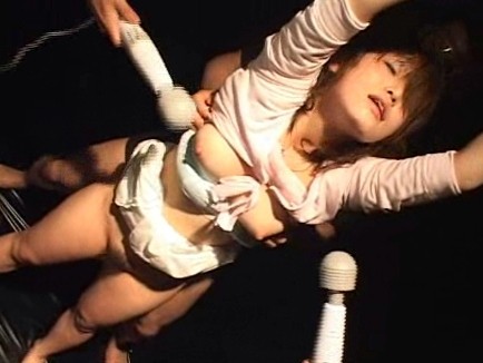 サンプル画像 10