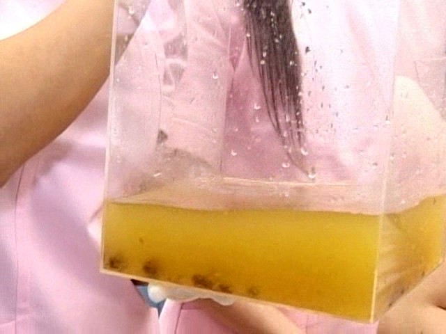 サンプル画像 21