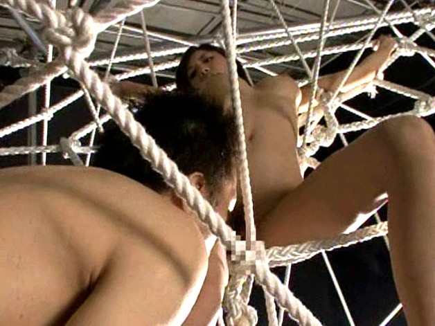 サンプル画像 9