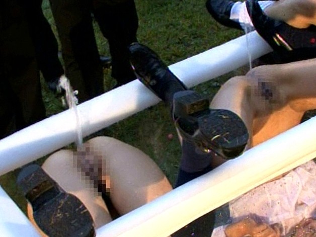 サンプル画像 14