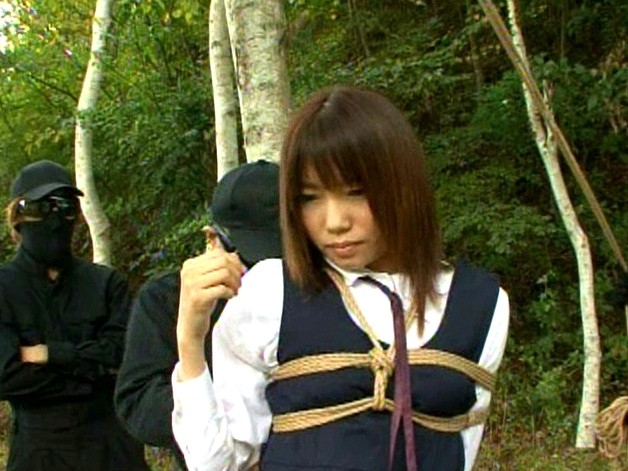 サンプル画像 10