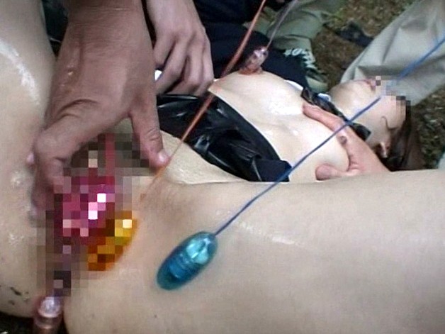 サンプル画像 17