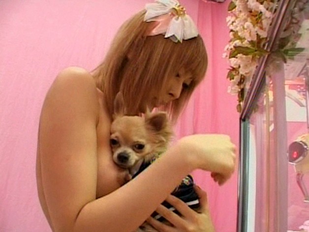 サンプル画像 14