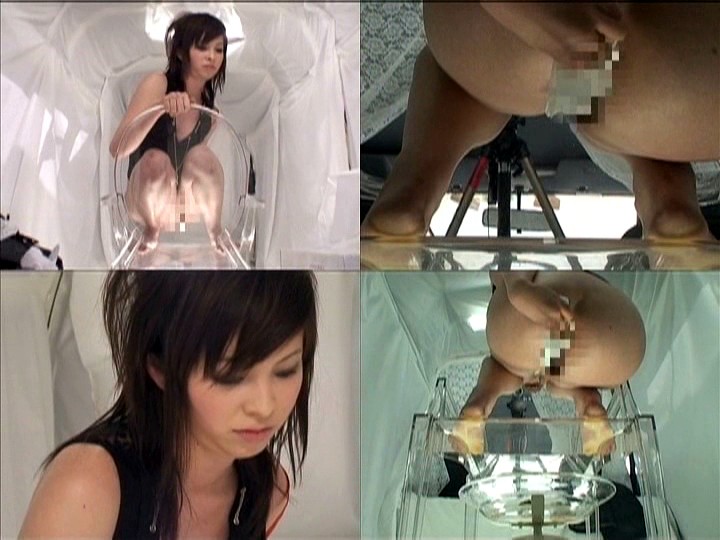 サンプル画像 12