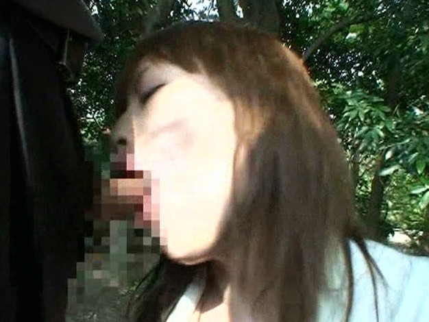 サンプル画像 8