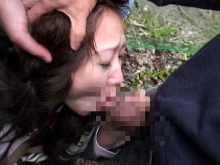 サンプル画像 12