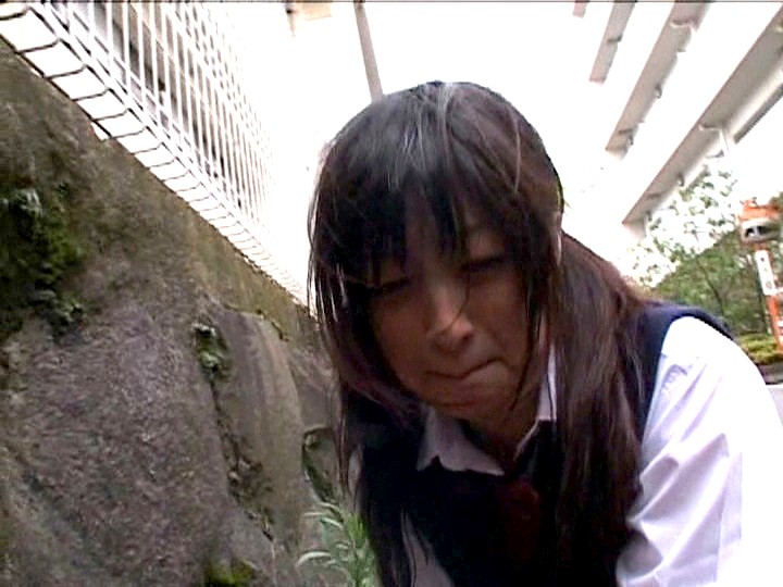 サンプル画像 9
