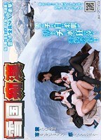 パッケージ画像