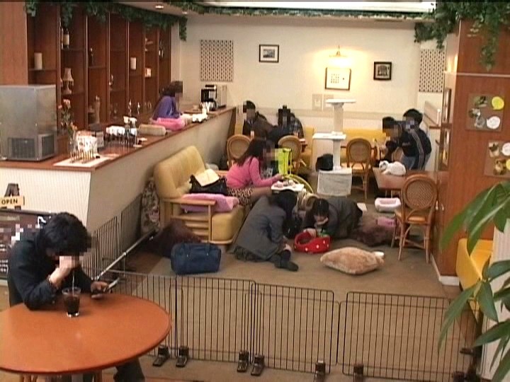 サンプル画像 2