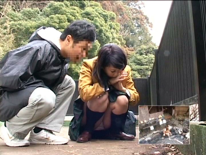 サンプル画像 11