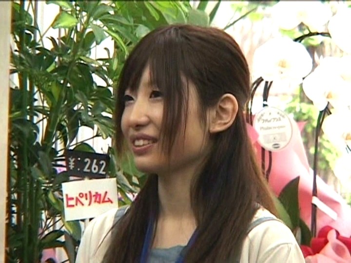 サンプル画像 12