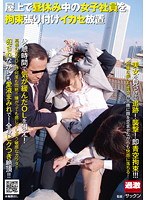 パッケージ画像