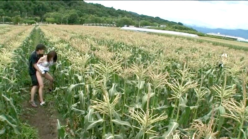 サンプル画像 20