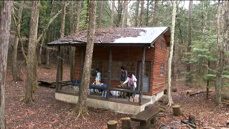 サンプル画像 11