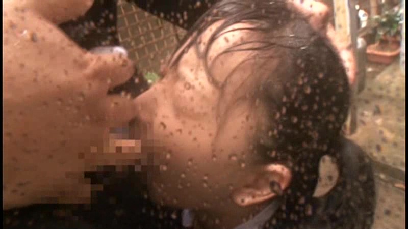 サンプル画像 13