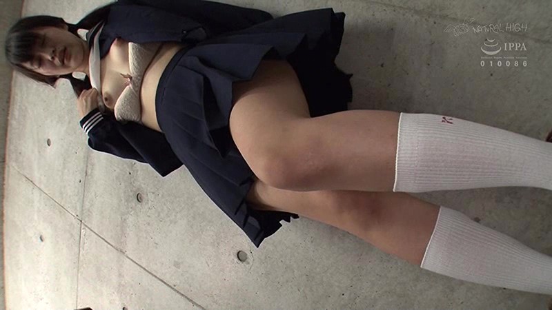 サンプル画像 13