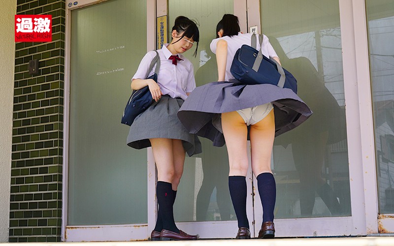 サンプル画像 12