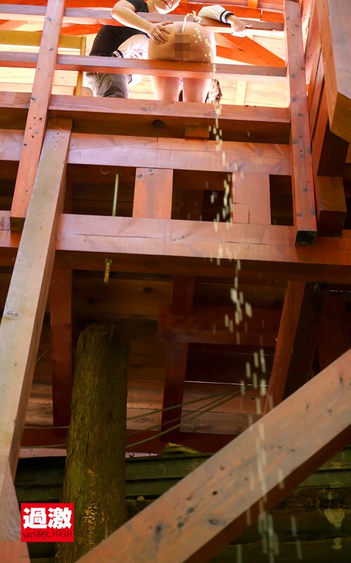 サンプル画像 8