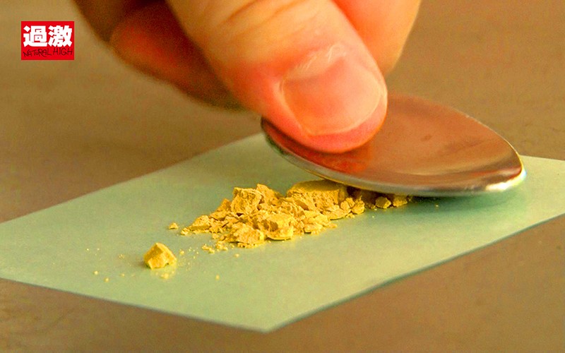 サンプル画像 16