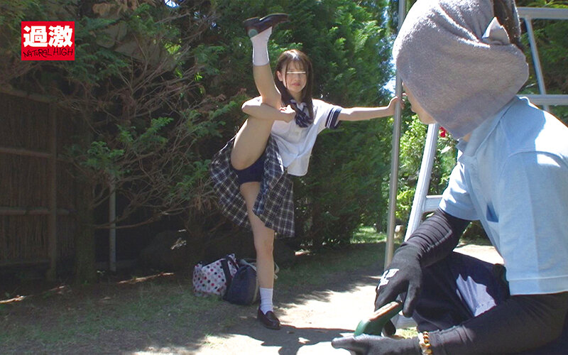 サンプル画像 3