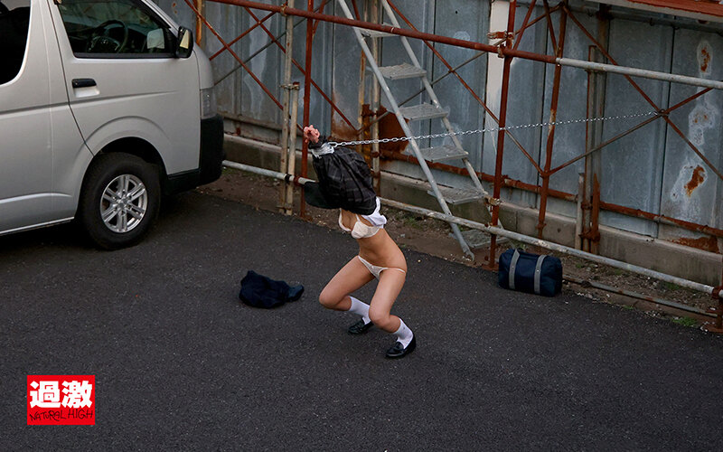 サンプル画像 11