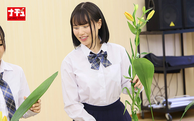 サンプル画像 12