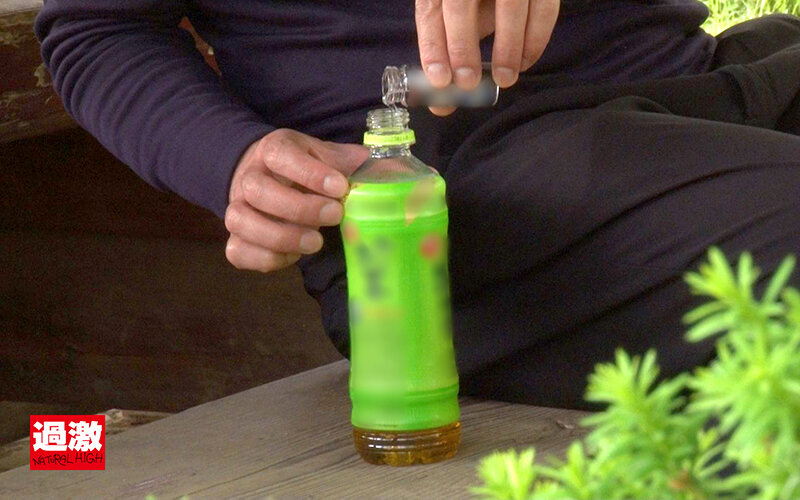 サンプル画像 3