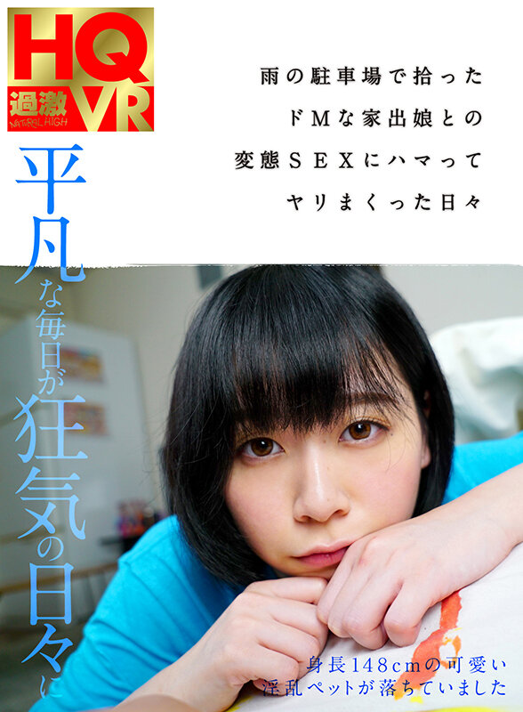 サンプル画像 13