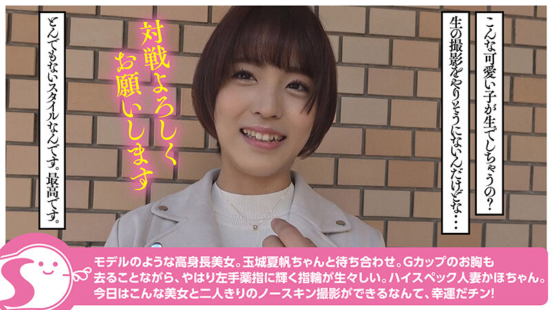 サンプル画像 5