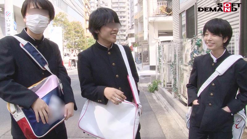 サンプル画像 3