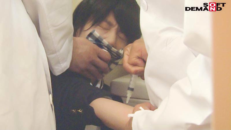 サンプル画像 4