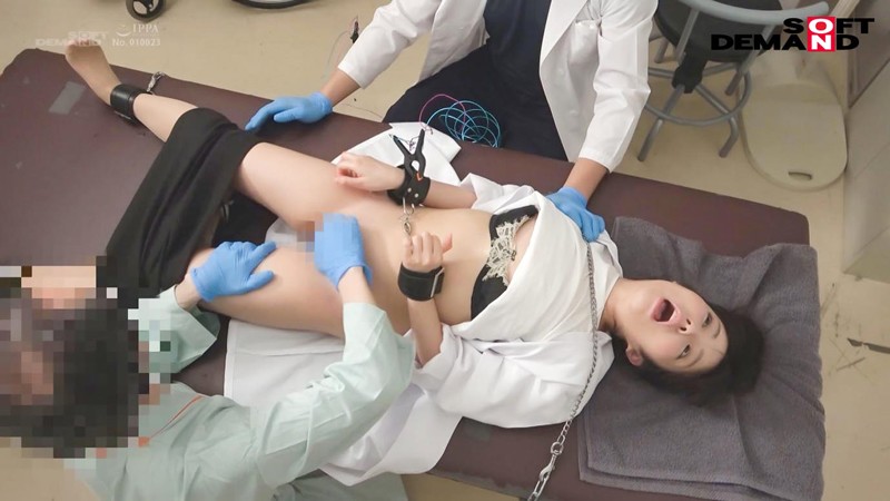 サンプル画像 6