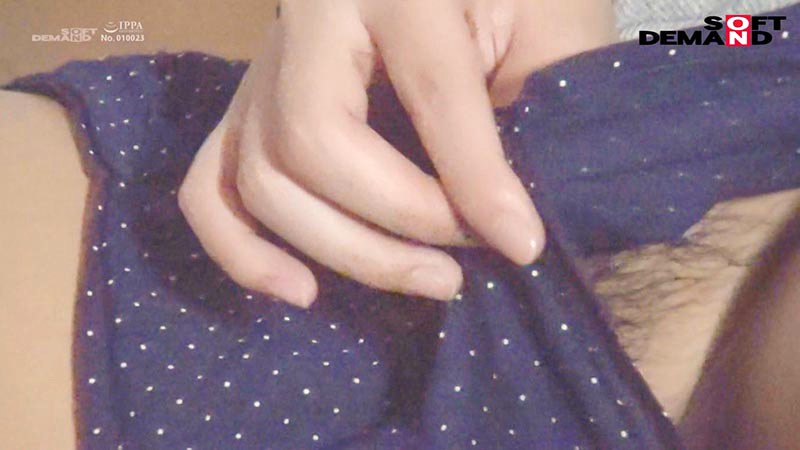 サンプル画像 9