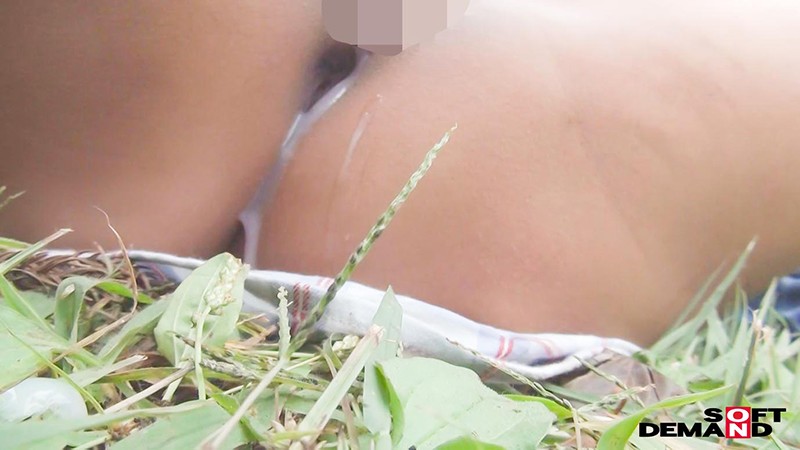 サンプル画像 15