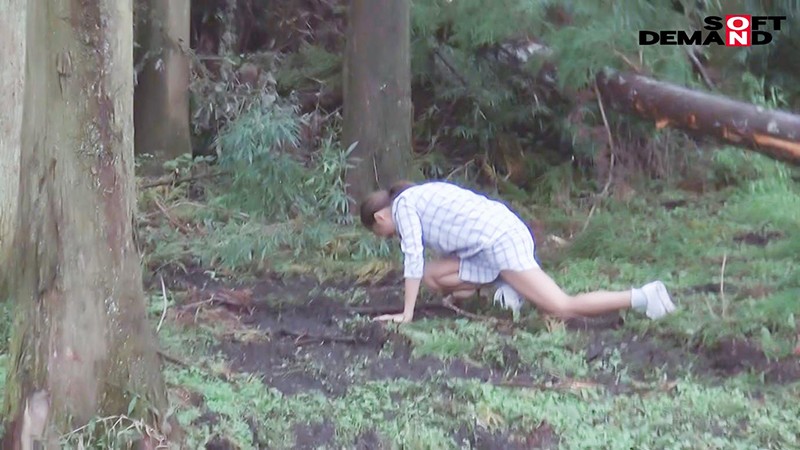 サンプル画像 4