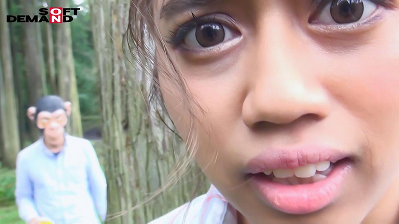 サンプル画像 9