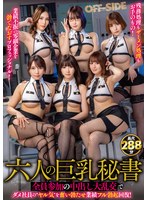 パッケージ画像