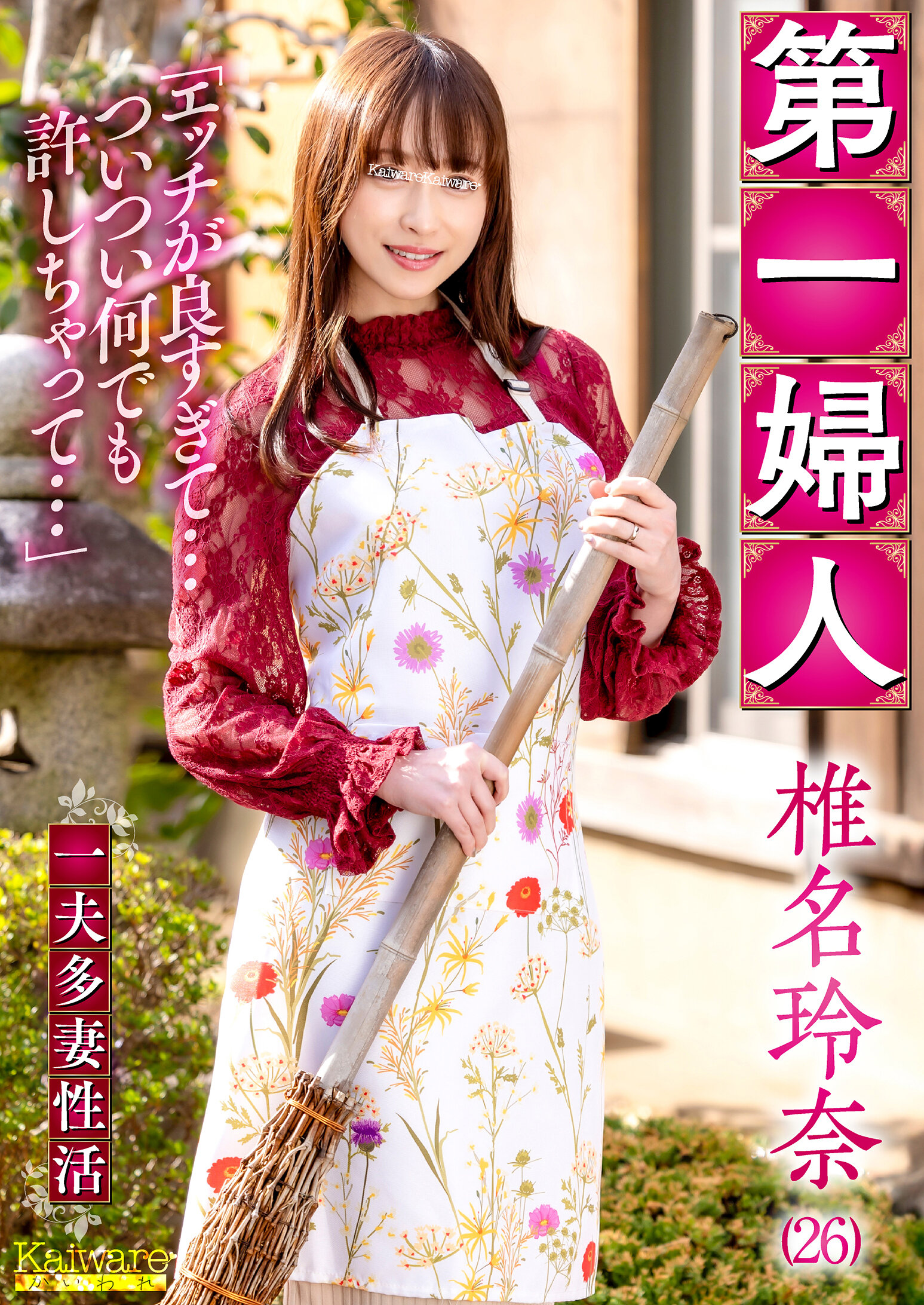 パッケージ画像