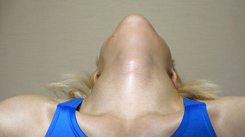 サンプル画像 5